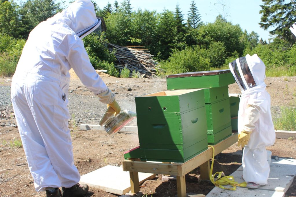 Mielarium, Attenzione alla provenienza del miele!, charlierose4aug2015 low