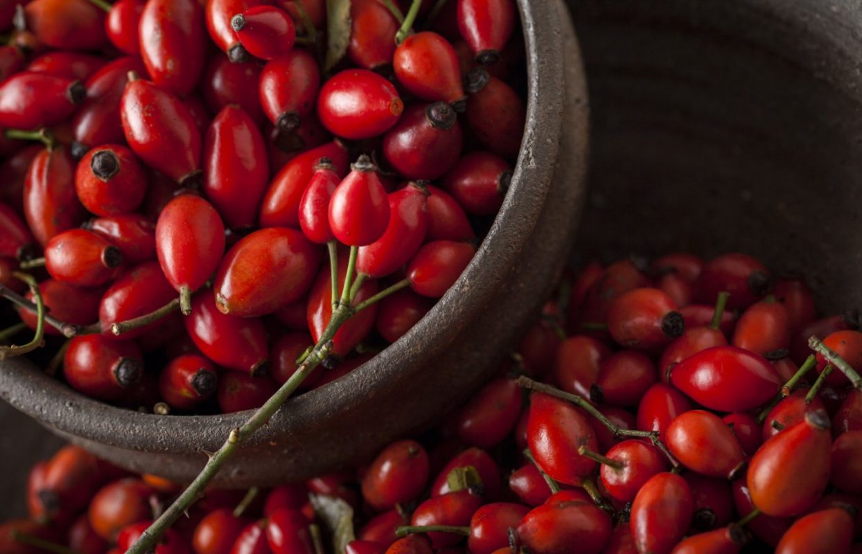 Rosa Canina: benefici, proprietà, storia e controindicazioni 2 Mielarium: Rosa Canina